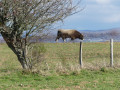 Belle rencontre