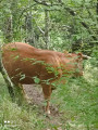 Belle rencontre