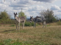 Belle rencontre