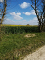 Belle vue sur la plaine.