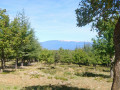 belle vue sur le ventoux