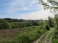 Belle vue sur les collines