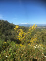 Belles vues sur le Canigou