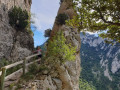Belvédère du Diable