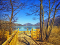 Réserve Naturelle du Bout du Lac d'Annecy