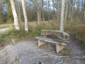 Bench in Friston Forest