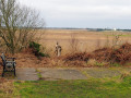 Bench marks the position of the former Walberswick station