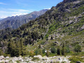 Bergeries de Timozzu
