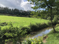 berges du Beuvron