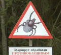B&eacute;ruNoir