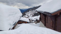 Spaziergang im Wald von Bettmeralp