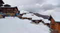 Spaziergang im Wald von Bettmeralp