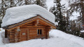 Spaziergang im Wald von Bettmeralp