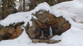 Spaziergang im Wald von Bettmeralp