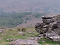 Between the Hound Tor rocks