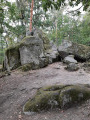 Bibelefelsen