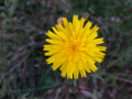 BibiDeLatteq
