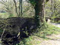 Gara Bridge and Bickham Bridge circular