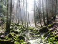 bief de la ruine