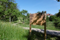 Bienenlehrpfad Baden Baden