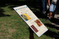 Bienenlehrpfad Hirsau Tafel Bienenwunder