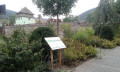 Bienenlehrpfad Tafel Erträge