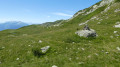 bifurcation du chemin