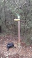 Wanderung der 4 Brüder