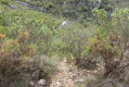 Bifurcation vers le fond du Vallon de l'Amandier