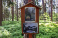 Bilder und Infos zur Holzschlacht in Fuchsmühl