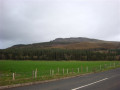 Binevenagh