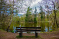 Birkensee