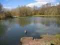 Birley Wood Pond