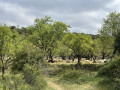 Aux alentours de Biscarrués - tombes romaines et sorcières en Aragon