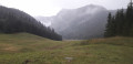 Prairie au pied du Giewont