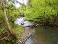 Blasiussteig am Watzenhahn