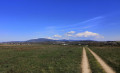 Entre Niffer et Petit Landau, vers le Grand Canal d'Alsace