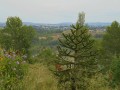 Blayes les mines