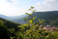 Blick auf Bad Urach