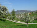 HOCHGEHBERGE-Tour »hochgehnießen« - Premiumspazierwanderweg in Beuren