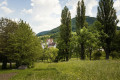 Blick auf das Freilichtmuseum Beuren