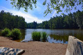 Vom Valznerweiher zum Eisweiher