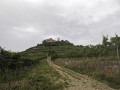 Blick auf die Burgruine