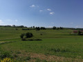 Blick auf die Felder