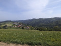 Blick auf Horben