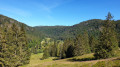 Blick ins Menzenschwandertal, im Hintergrund der Feldberg