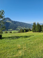 Blick nach Bad Hindelang über die Jochstraße