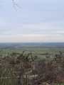 Blick über die Rheinebene