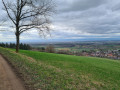 Burg Neuenfels und Panoramaweg Britzingen