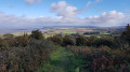 Blue Anchor Bay from Grabbist Hill